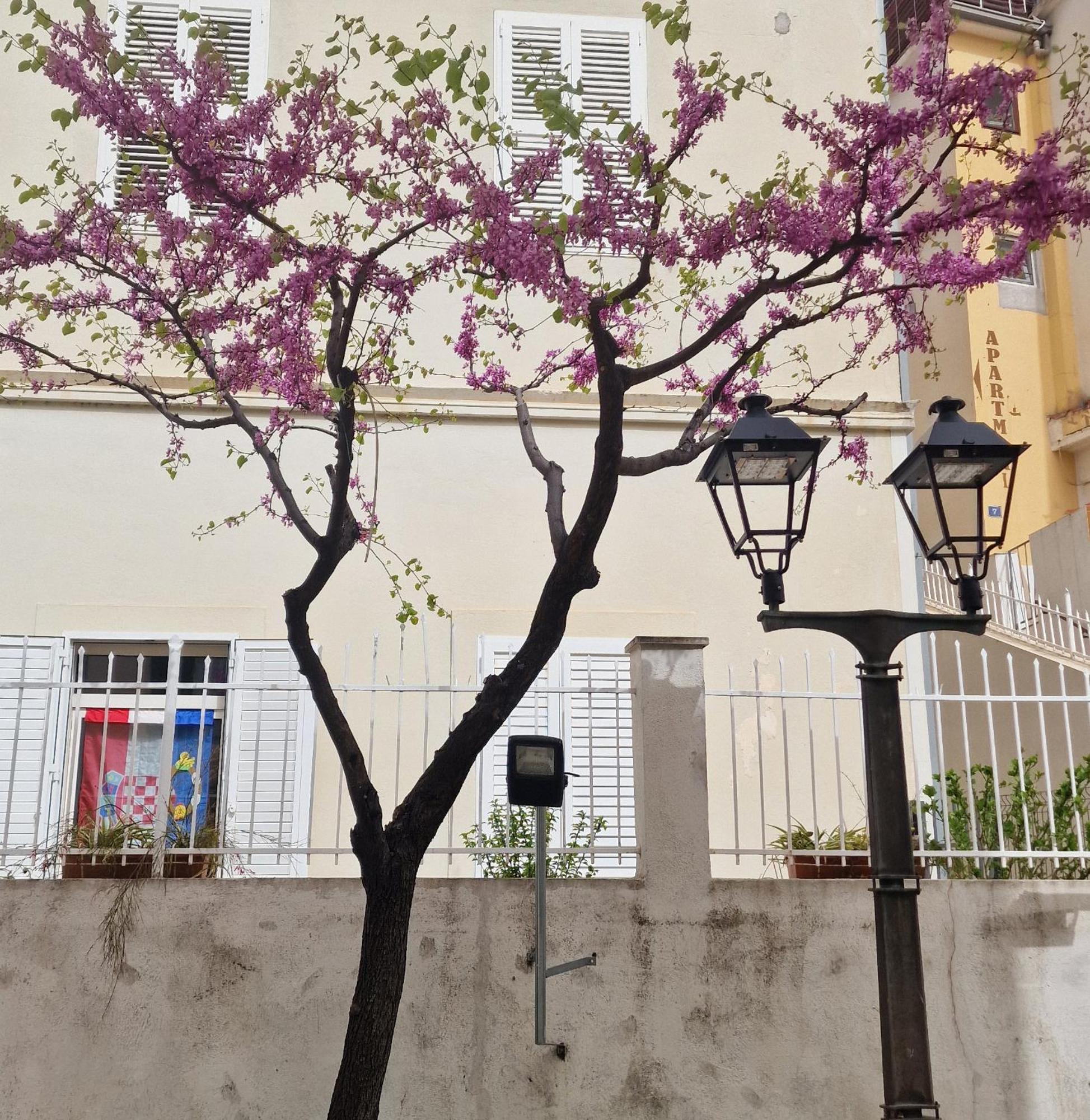 Apartman Dominovic Omiš Exterior foto